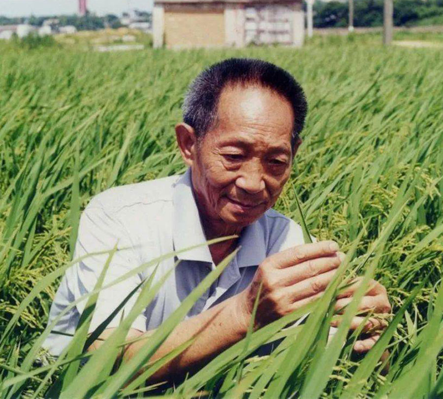 袁隆平.jpg